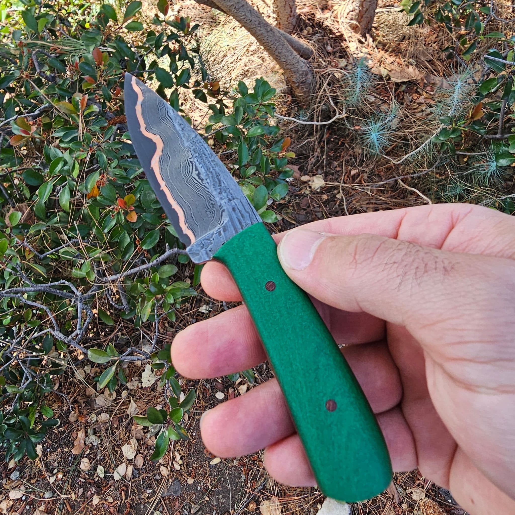 Fixed blade EDC